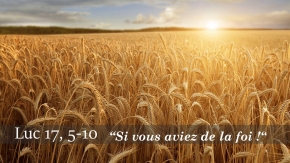 XXVIIᵉ DIMANCHE DU TEMPS ORDINAIRE